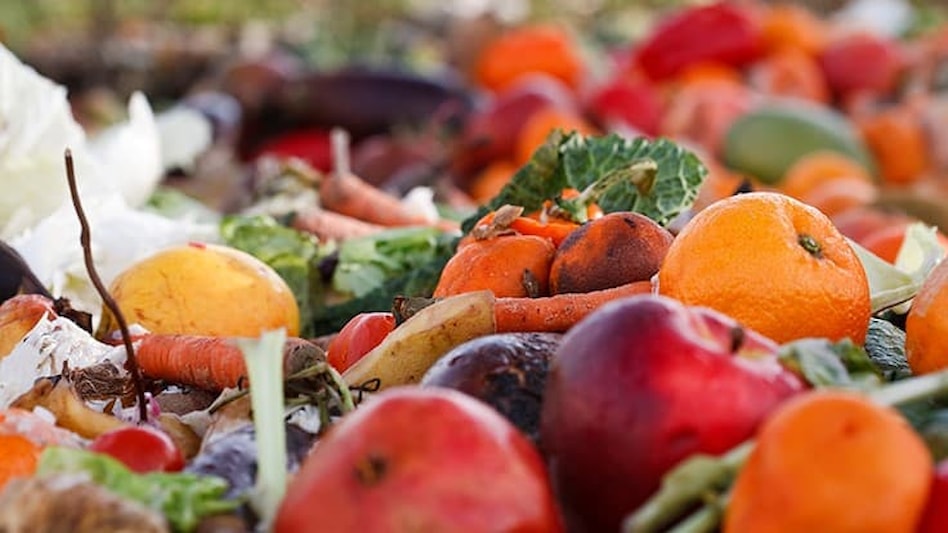 Reducing Food Waste: A Sustainable Approach to a Global Issue