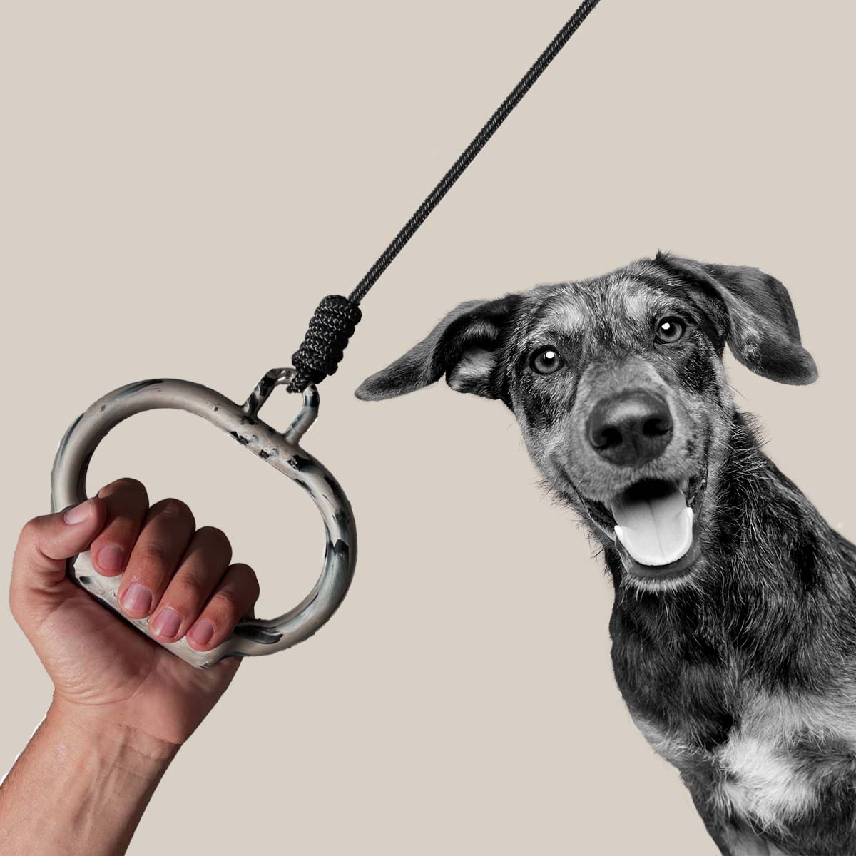 Hand holding recycled dog leash with smiling dog nearby