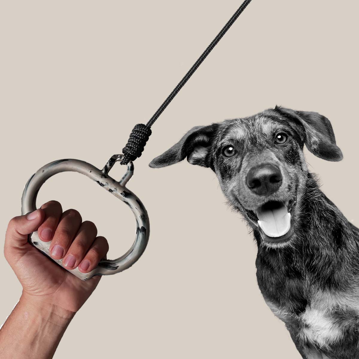 100% recycled dog leash