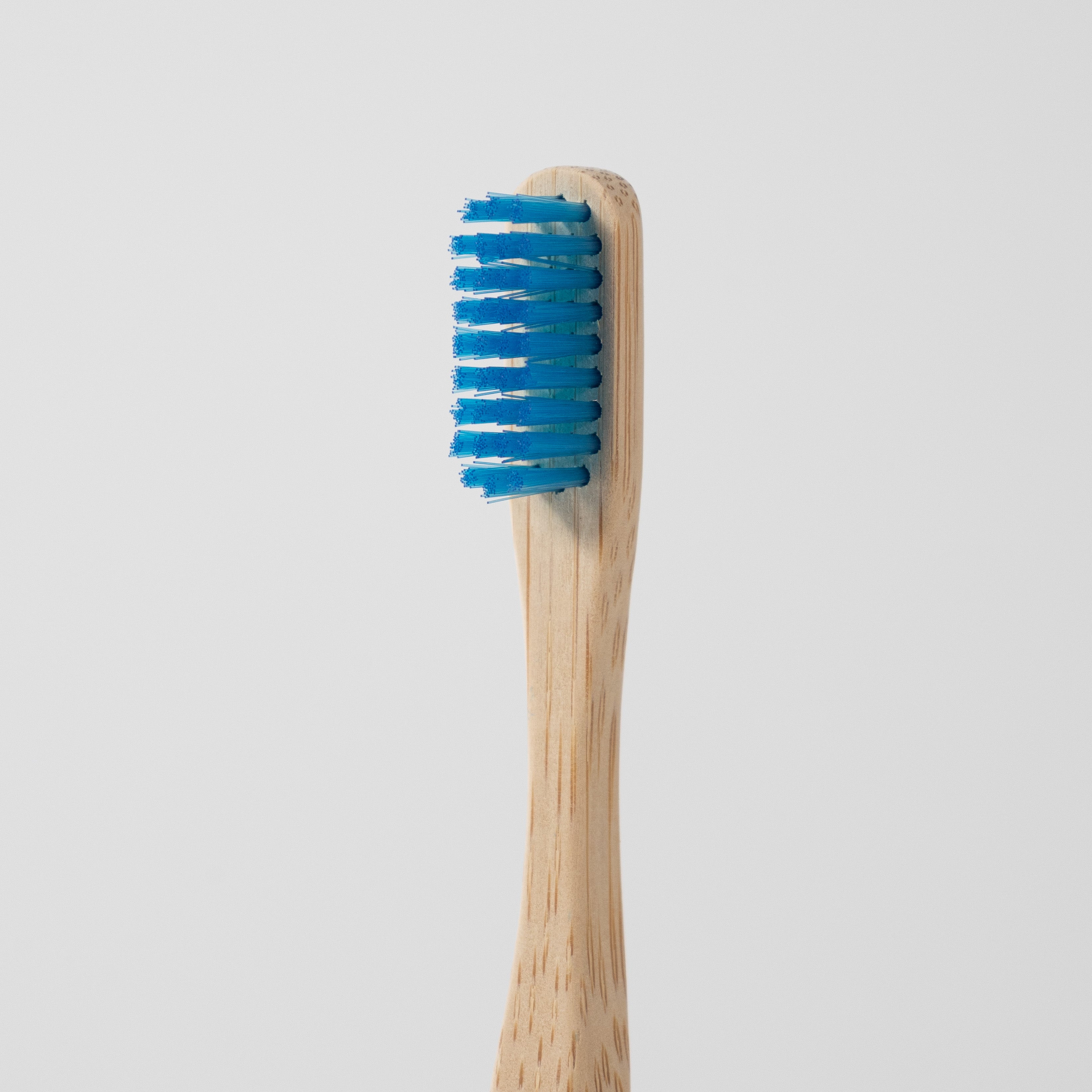 Blue bristles of bamboo toothbrush