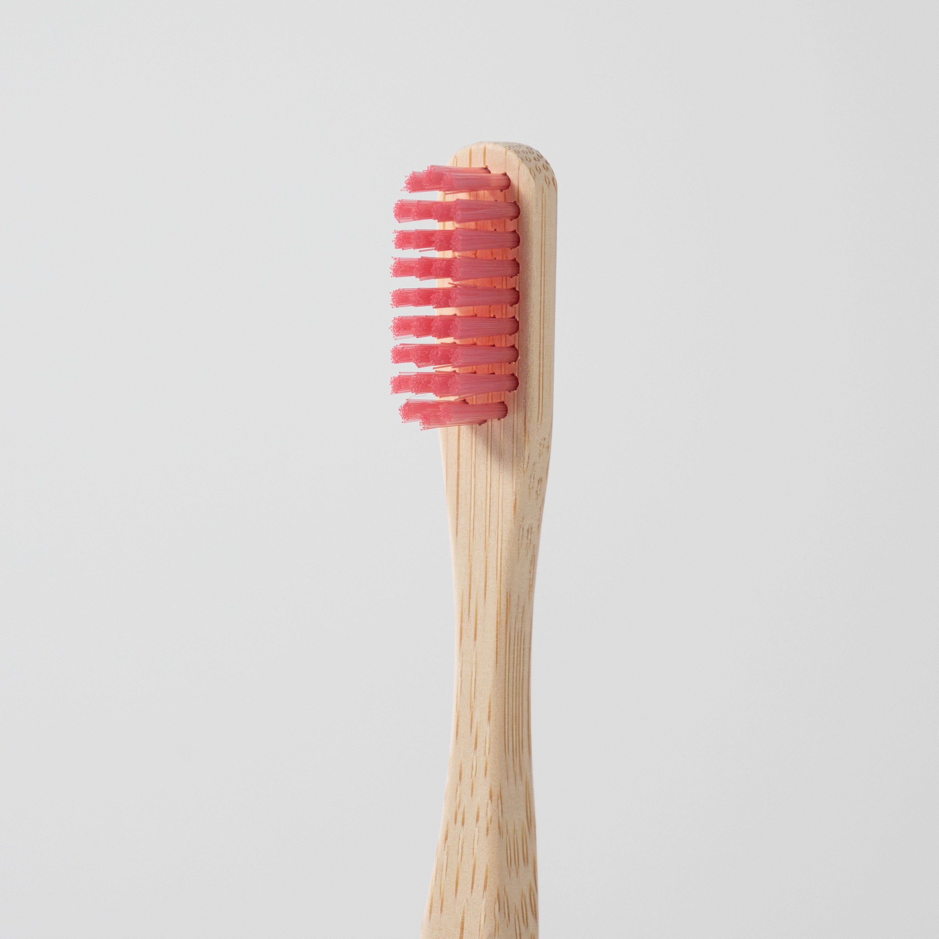 Pink bristles of bamboo toothbrush