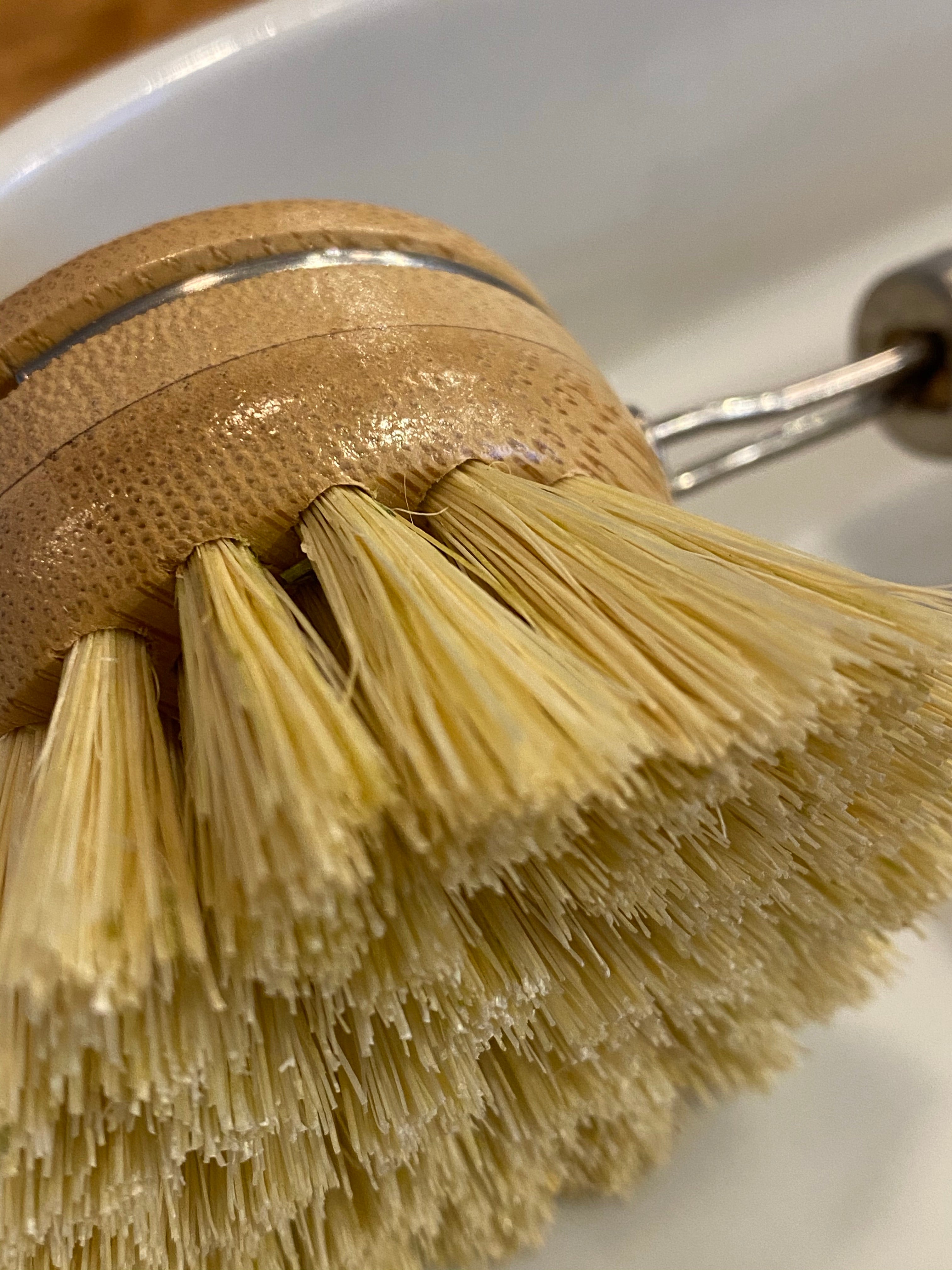close-up view of natural sisal bristles wooden dish brush
